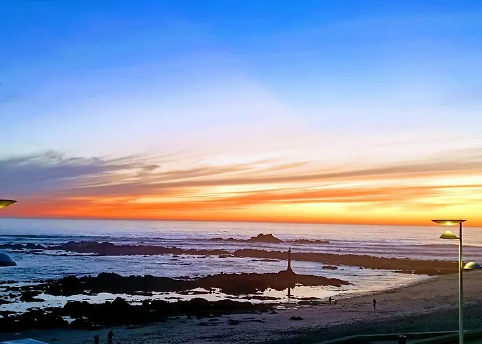 Cachinnans & * 빌다도콘데