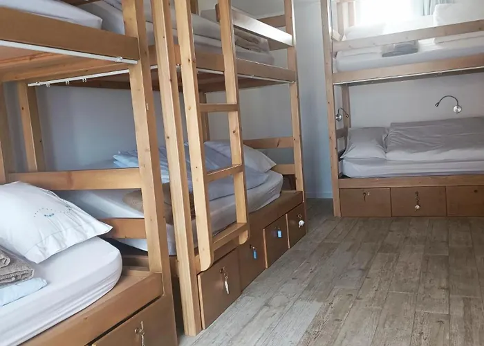 Cachinnans & * 빌다도콘데