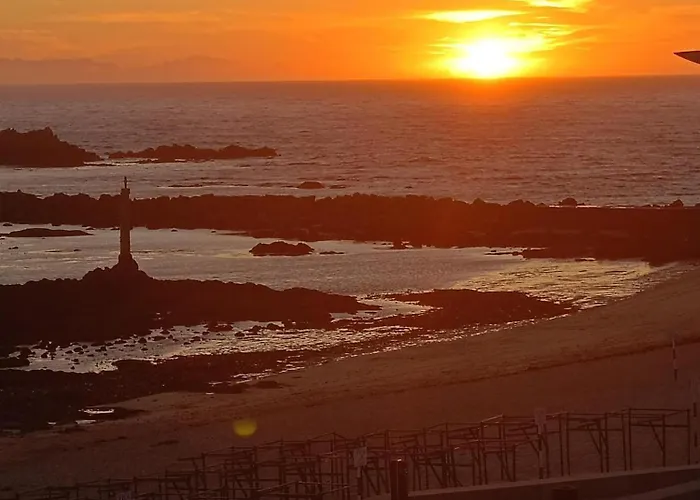 Cachinnans & 빌다도콘데