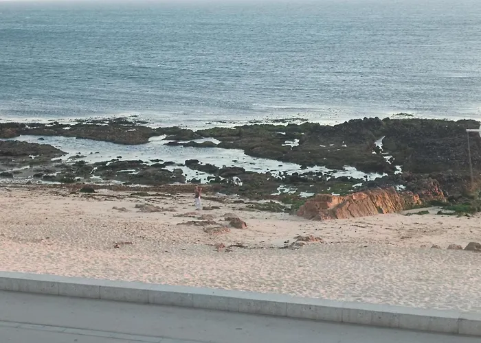 Cachinnans & 호스텔